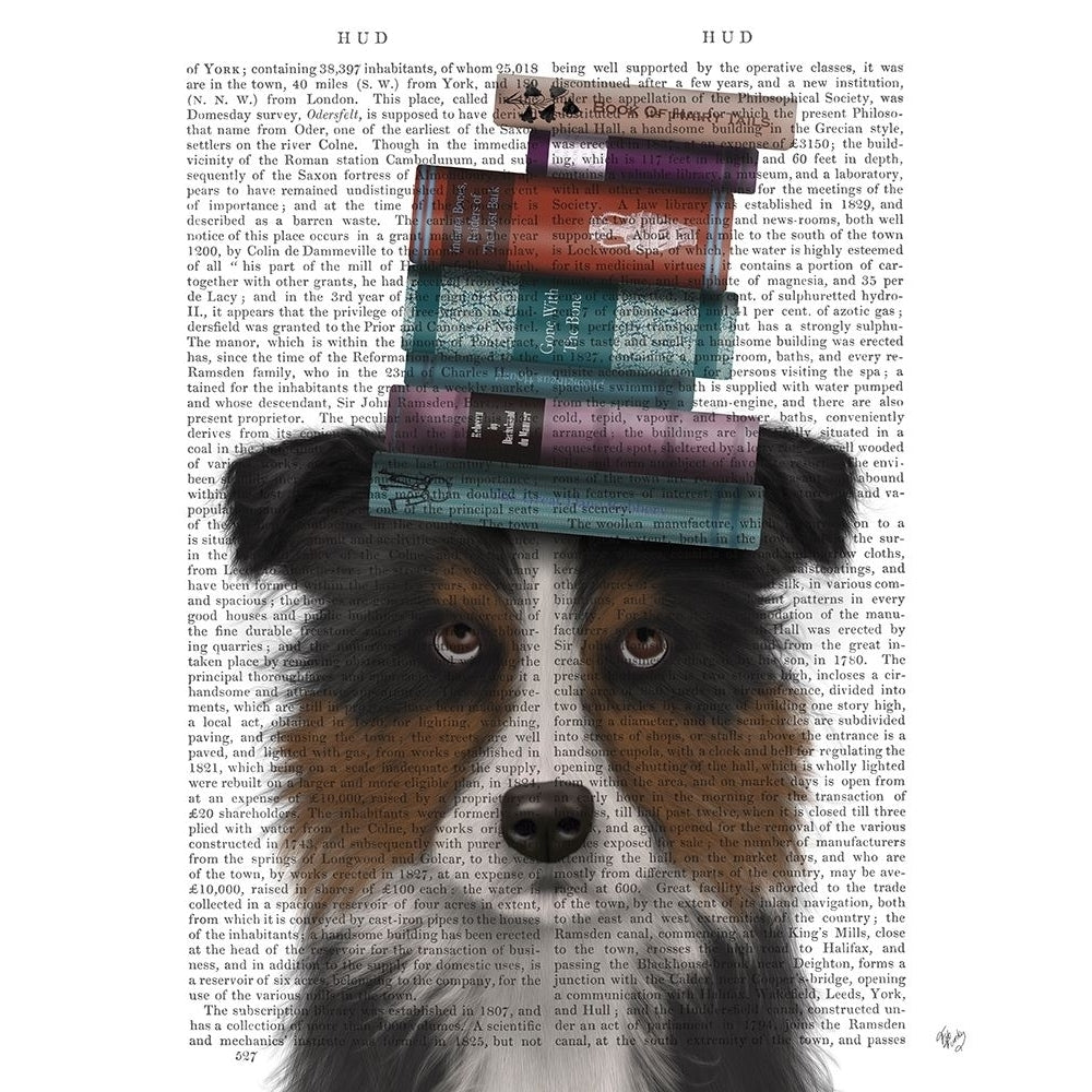 Border Collie Tricolour and Books Poster Print - Funky Fab-VARPDX192752D Image 1