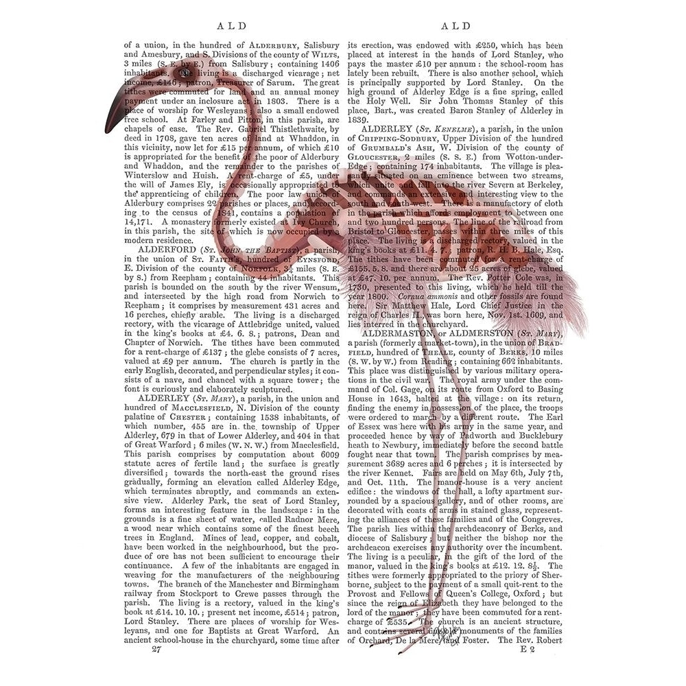 Flamingo Skeleton Poster Print - Funky Fab-VARPDX192729D Image 1