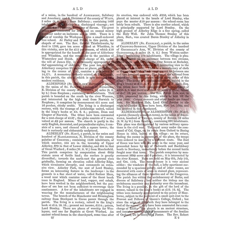 Flamingo Skeleton Poster Print - Funky Fab-VARPDX192729D Image 1