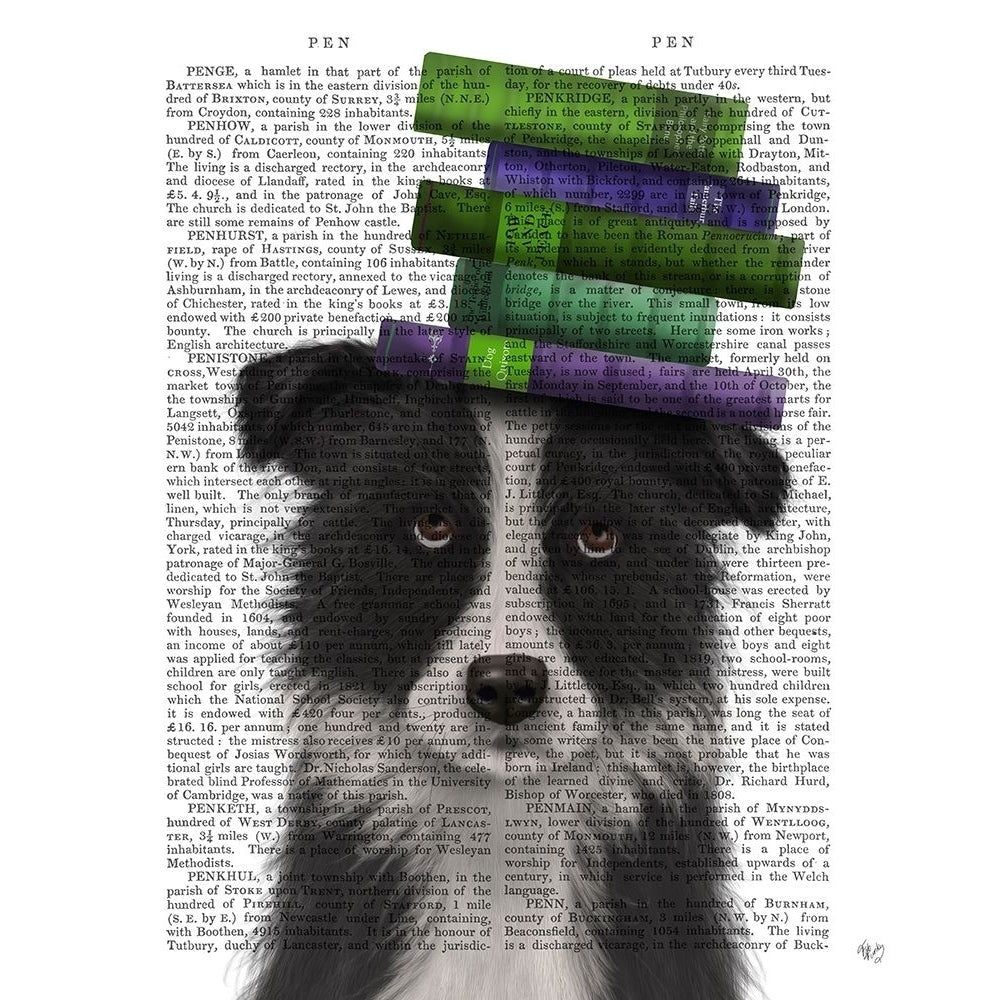 Border Collie Black and White and Books Poster Print - Funky Fab-VARPDX192751D Image 1