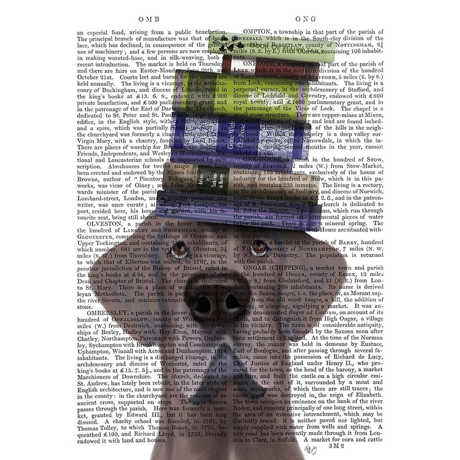 Great Dane and Books Poster Print - Funky Fab-VARPDX192758D Image 1