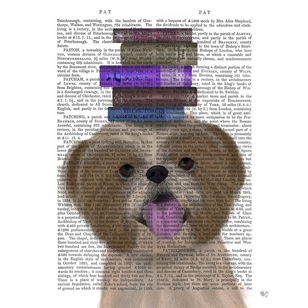 Shih Tsu and Books Poster Print - Funky Fab-VARPDX192765D Image 1