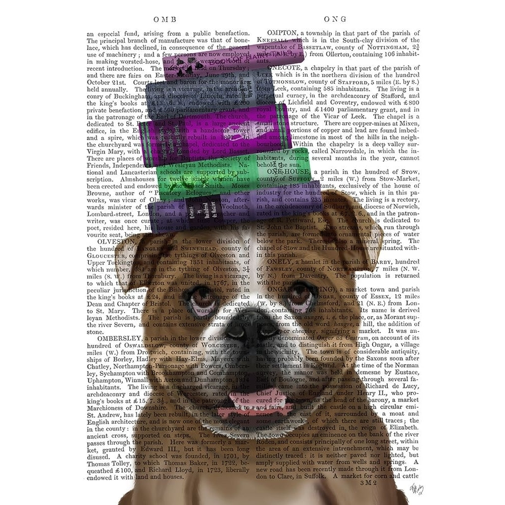 English Bulldog And Books Poster Print - Funky Fab-VARPDX192755D Image 1