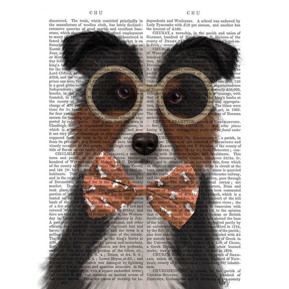 Border Collie Tricolour with Glasses and Bow Tie Poster Print - Funky Fab-VARPDX192781D Image 1