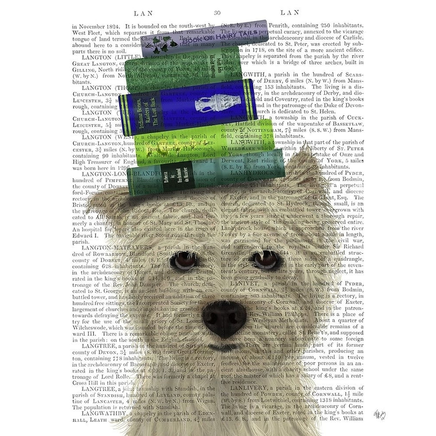 Westie and Books Poster Print - Funky Fab-VARPDX192766D Image 1