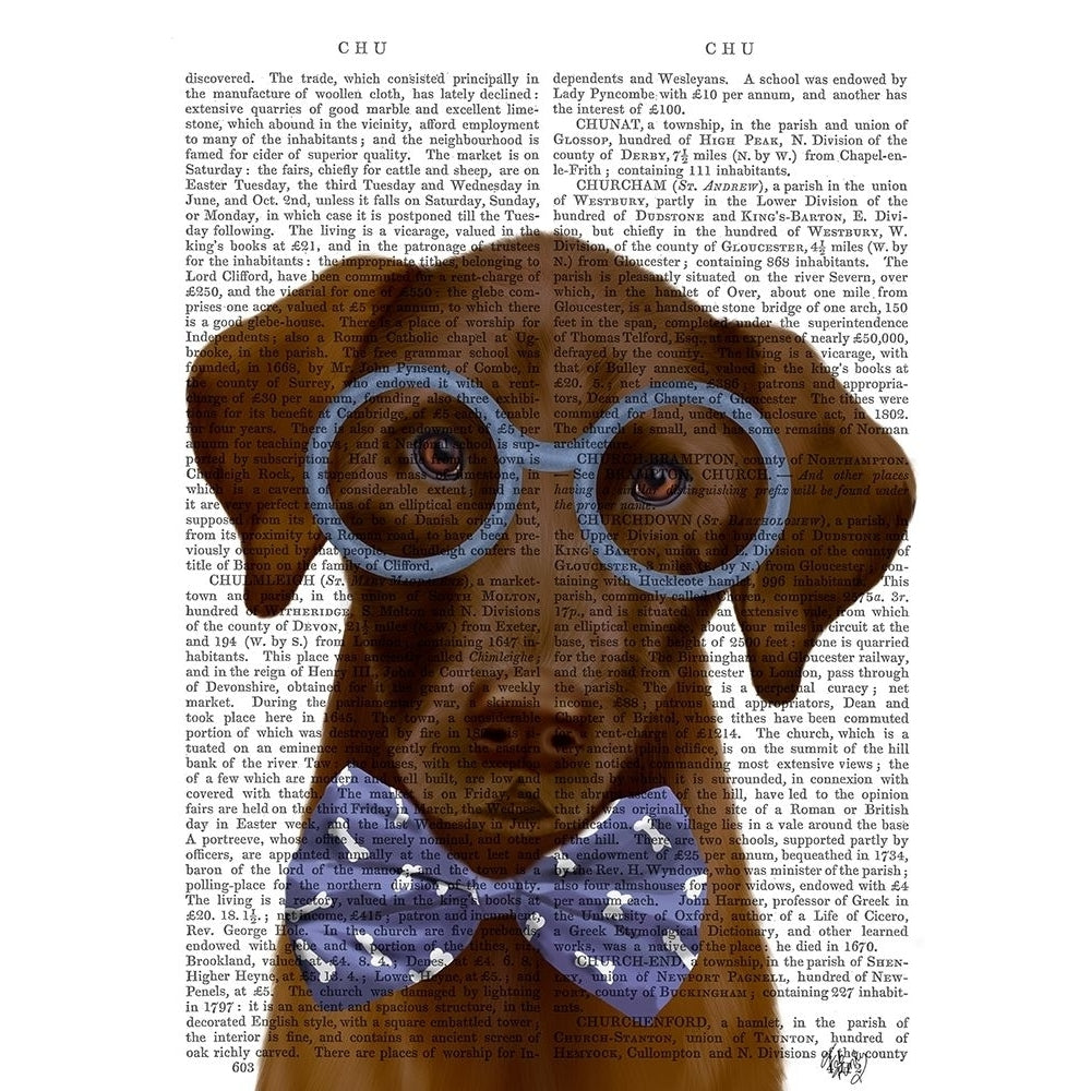 Chocolate Labrador with Glasses and Bow Tie Poster Print - Funky Fab-VARPDX192783D Image 1