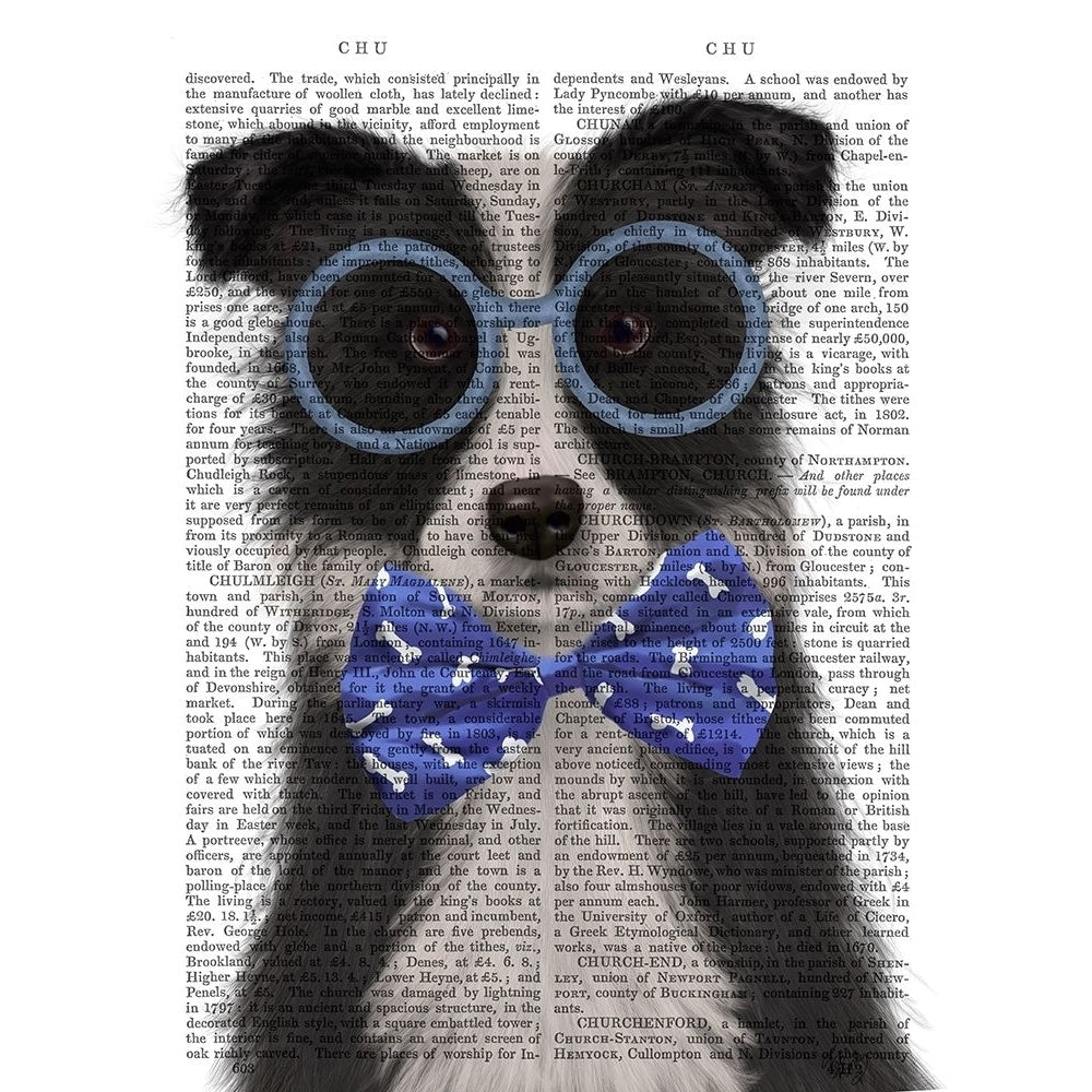 Border Collie Black and White with Glasses and Bow Tie Poster Print - Funky Fab-VARPDX192779D Image 1