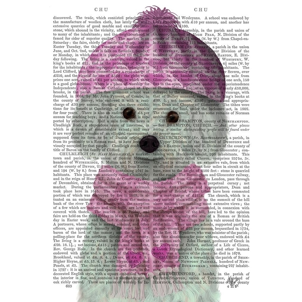 Bichon Frise in Pink Bobble Hat Poster Print - Funky Fab-VARPDX192826D Image 1