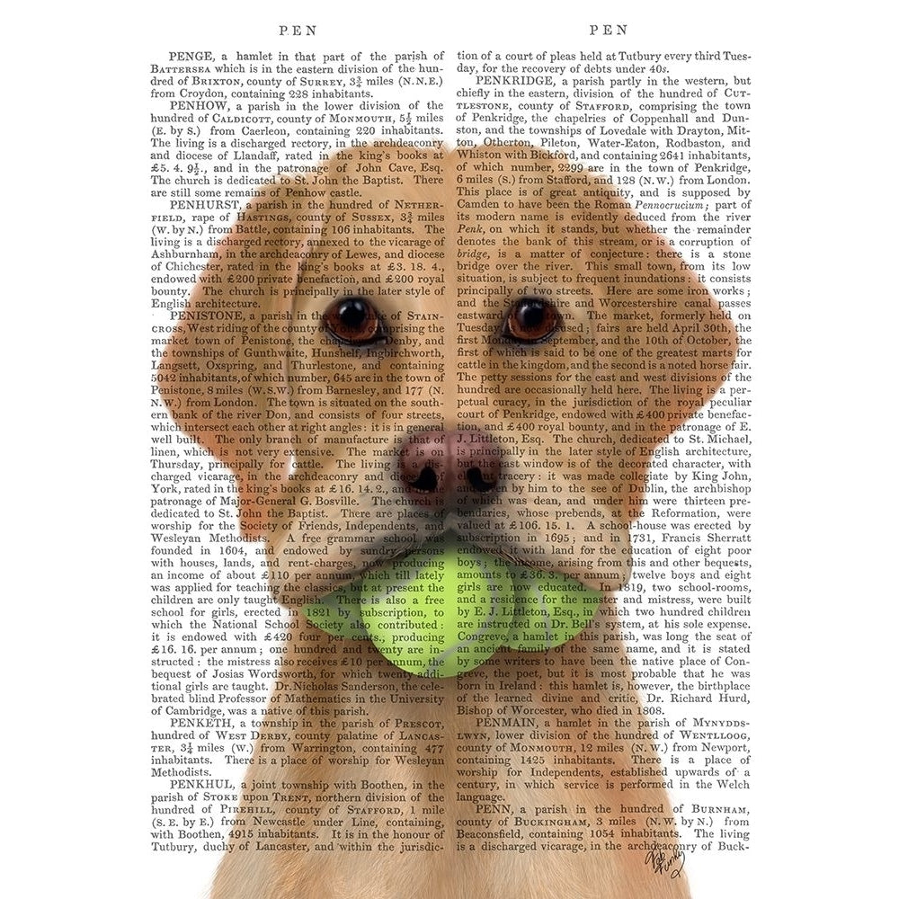 Yellow Labrador and Tennis Balls Poster Print - Funky Fab-VARPDX192853D Image 1