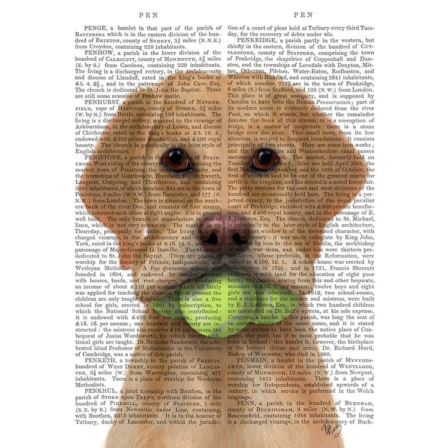 Yellow Labrador and Tennis Balls Poster Print - Funky Fab-VARPDX192853D Image 1