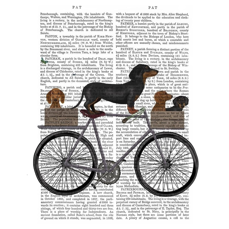 Dachshunds on Bicycle Poster Print - Funky Fab-VARPDX192872D Image 1