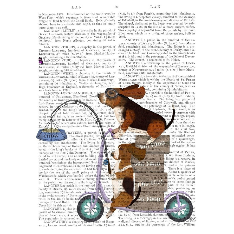 Basset Hound Scooter Poster Print - Funky Fab-VARPDX192860D Image 1