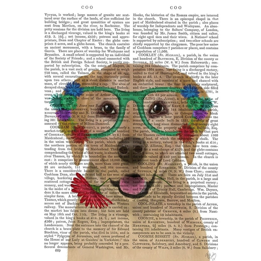 Yellow Labrador and Flower Glasses Poster Print - Funky Fab-VARPDX192889D Image 1