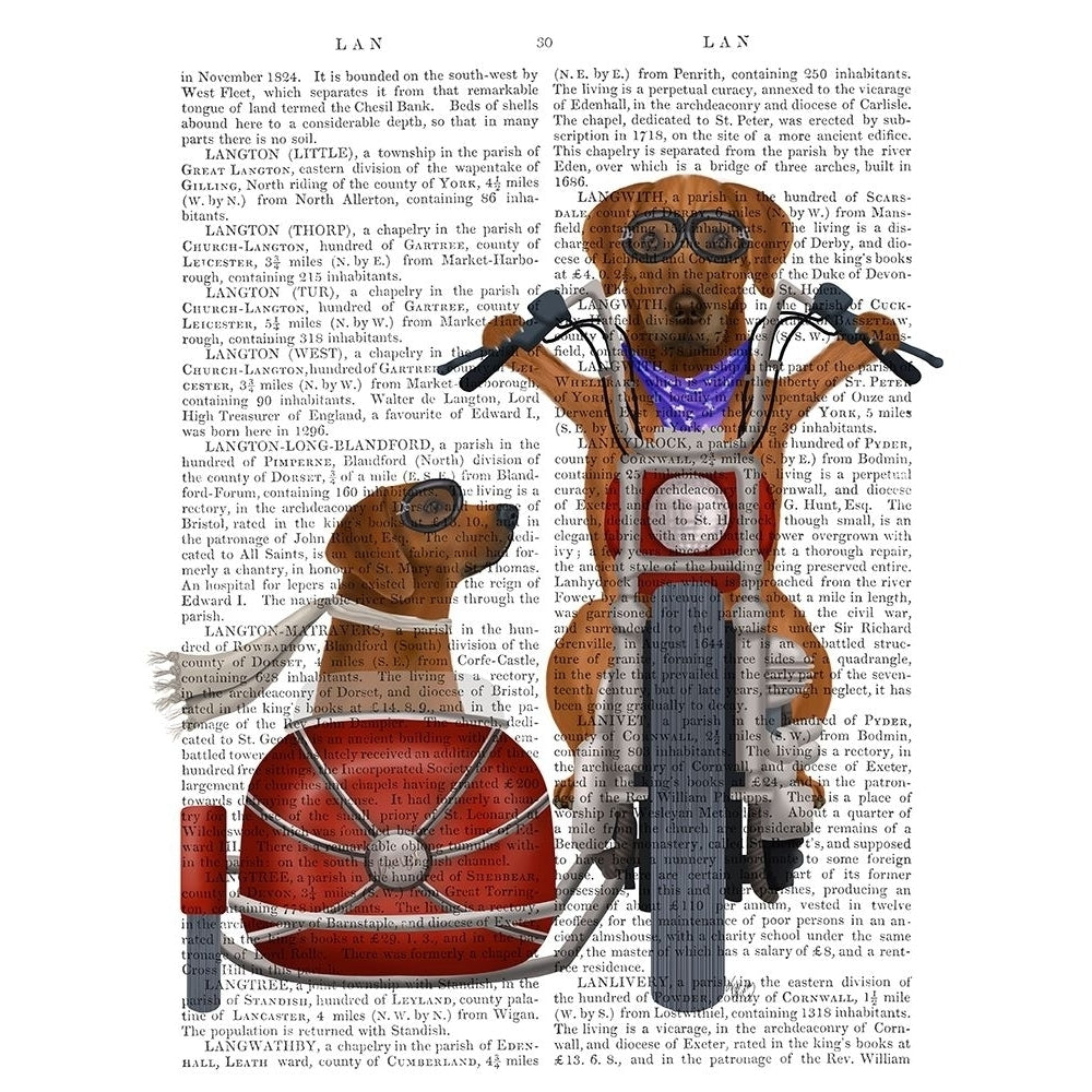 Rhodesian Ridgeback Chopper and Sidecar Poster Print - Funky Fab-VARPDX192916D Image 1