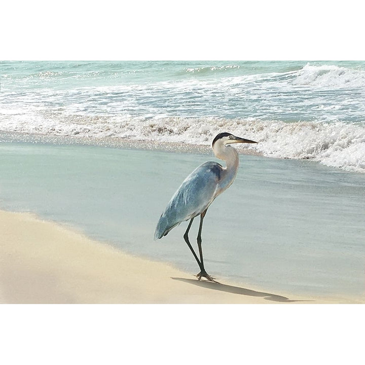 Beach Set Heron Poster Print by Nan-VARPDX19315 Image 1