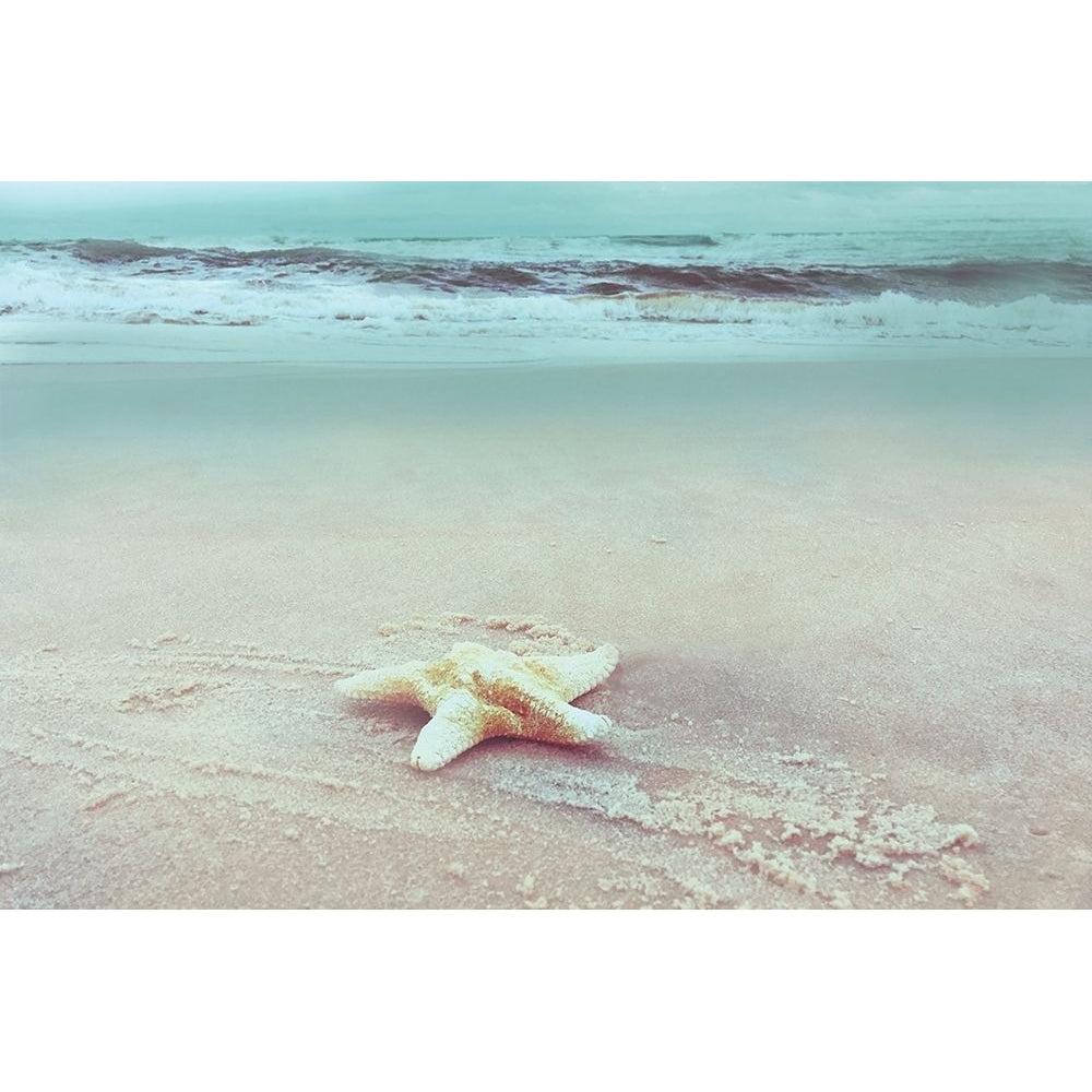 Beach Set Starfish Poster Print by Nan-VARPDX19317 Image 1