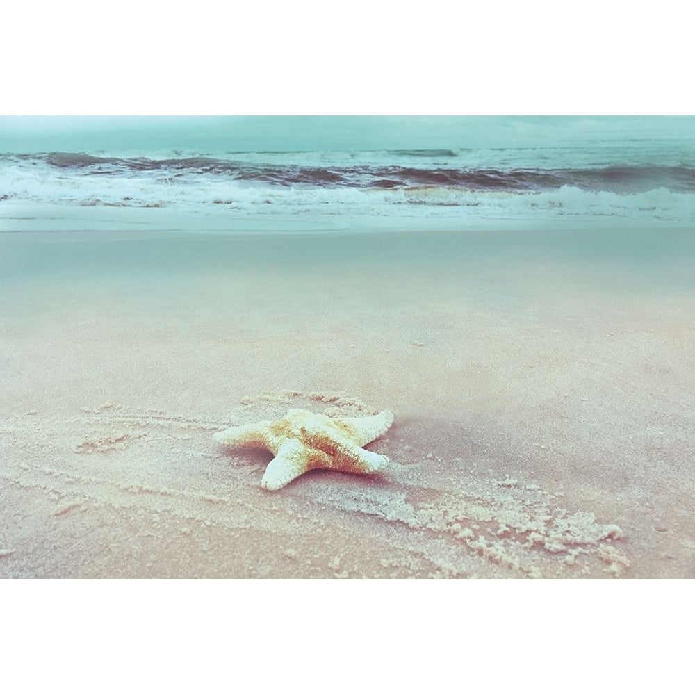 Beach Set Starfish Poster Print by Nan-VARPDX19317 Image 1