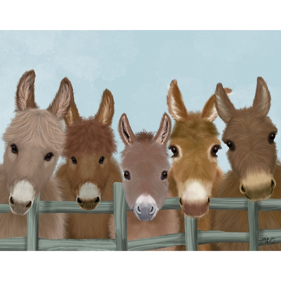 Donkey Herd at Fence Poster Print - Funky Fab-VARPDX193189D Image 1