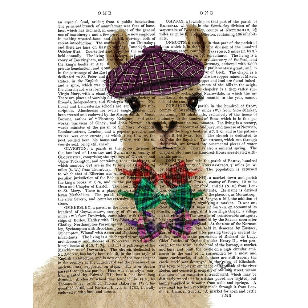 Llama Dapper Book Print Poster Print - Funky Fab-VARPDX193229D Image 1