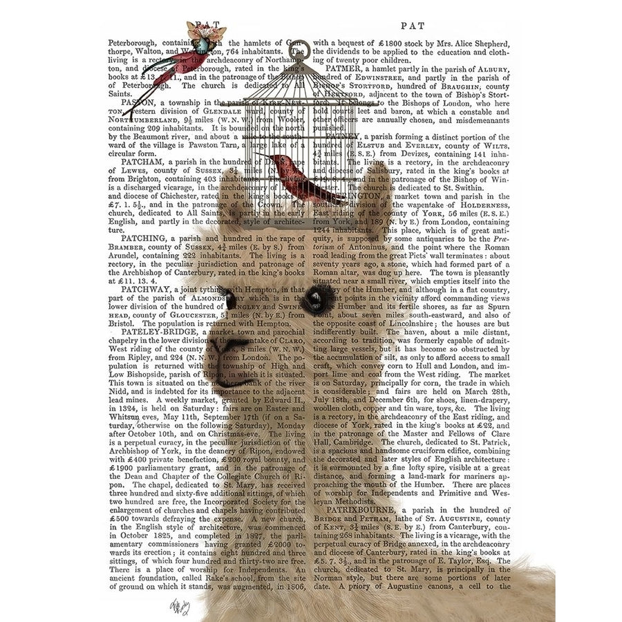 Llama and Birdcage Book Print Poster Print - Funky Fab-VARPDX193228D Image 1