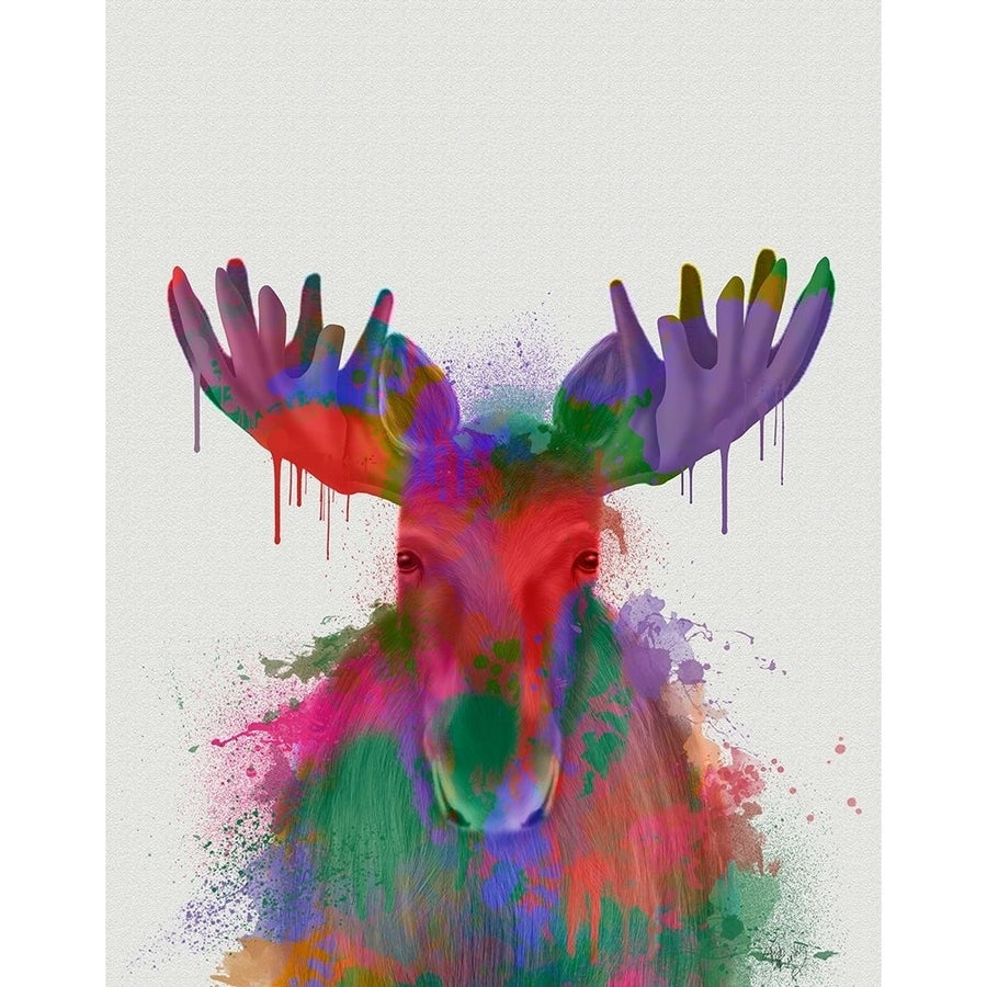 Moose Rainbow Splash Poster Print - Funky Fab-VARPDX193281D Image 1