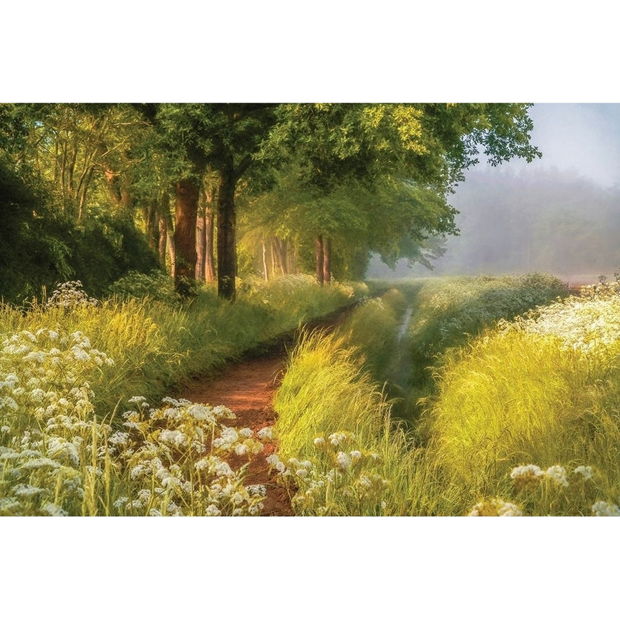 Spring In Holland Poster Print by Lars Van de Goor-VARPDX19339 Image 1