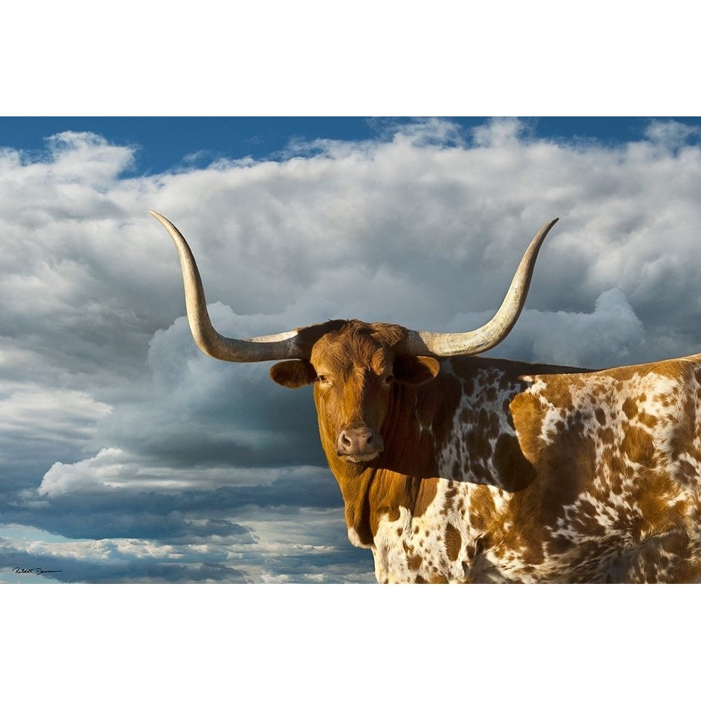 Texas Longhorn ~ Color Poster Print by Robert Dawson-VARPDX1939 Image 1