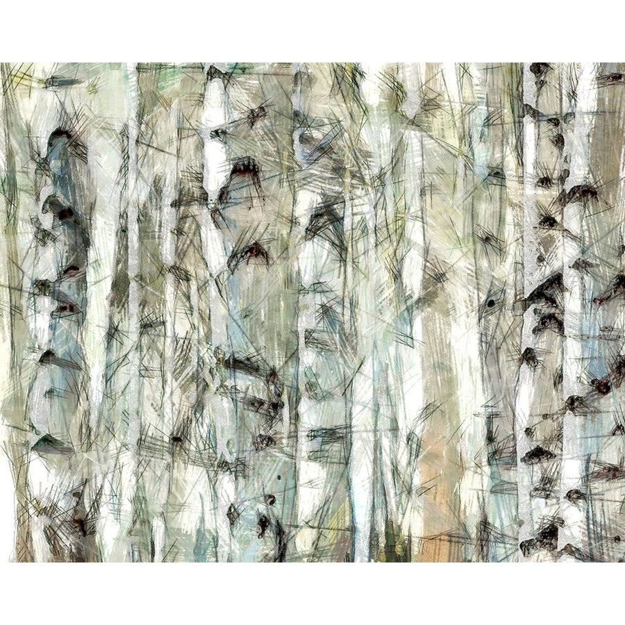 Birch Bunch I Poster Print - Alonzo Saunders-VARPDX194239Z Image 1