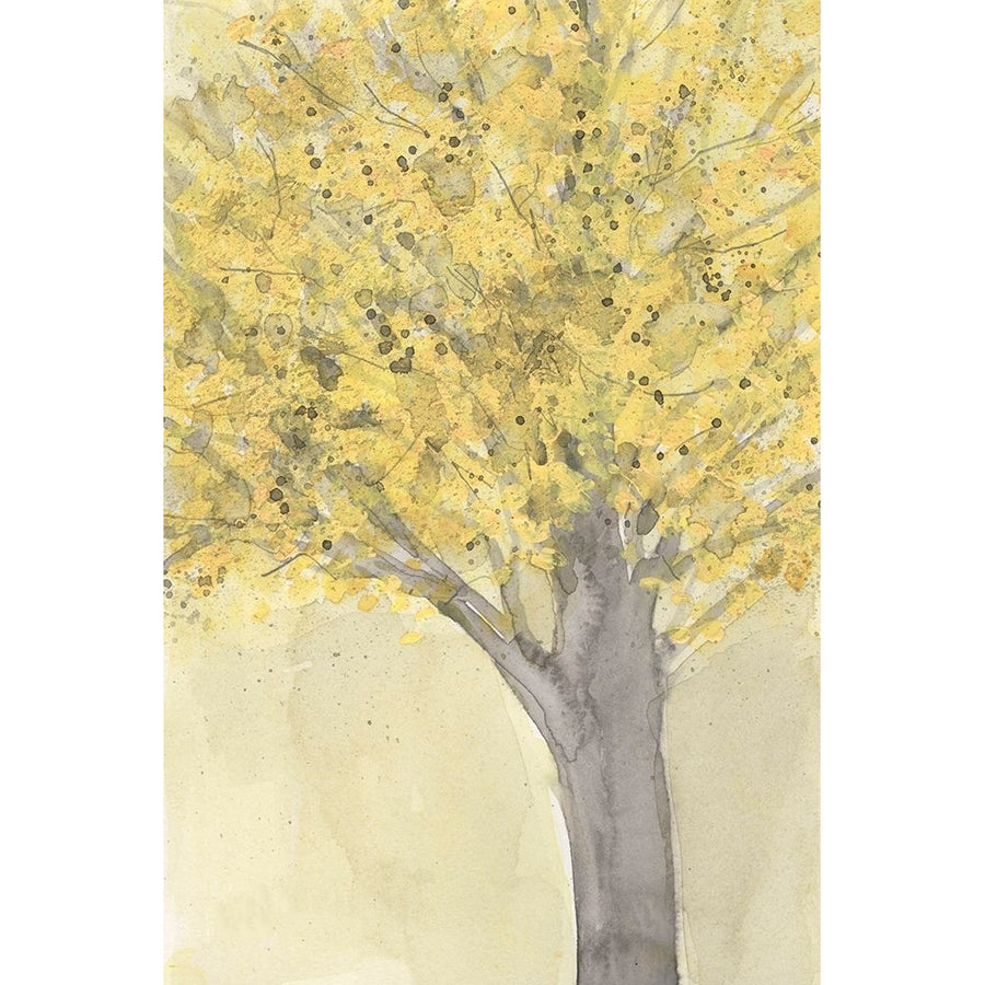 Yellow Autumn Moment II Poster Print - Samuel Dixon-VARPDX194666Z Image 1