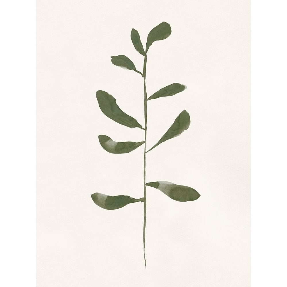 Minimal Sprig II Poster Print - Victoria Barnes-VARPDX194808Z Image 1