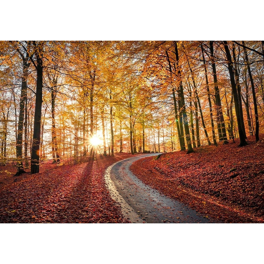 Road In Sapderaysen Nationalpark-Sweden Poster Print - Christian Lindsten-VARPDX1948322 Image 1