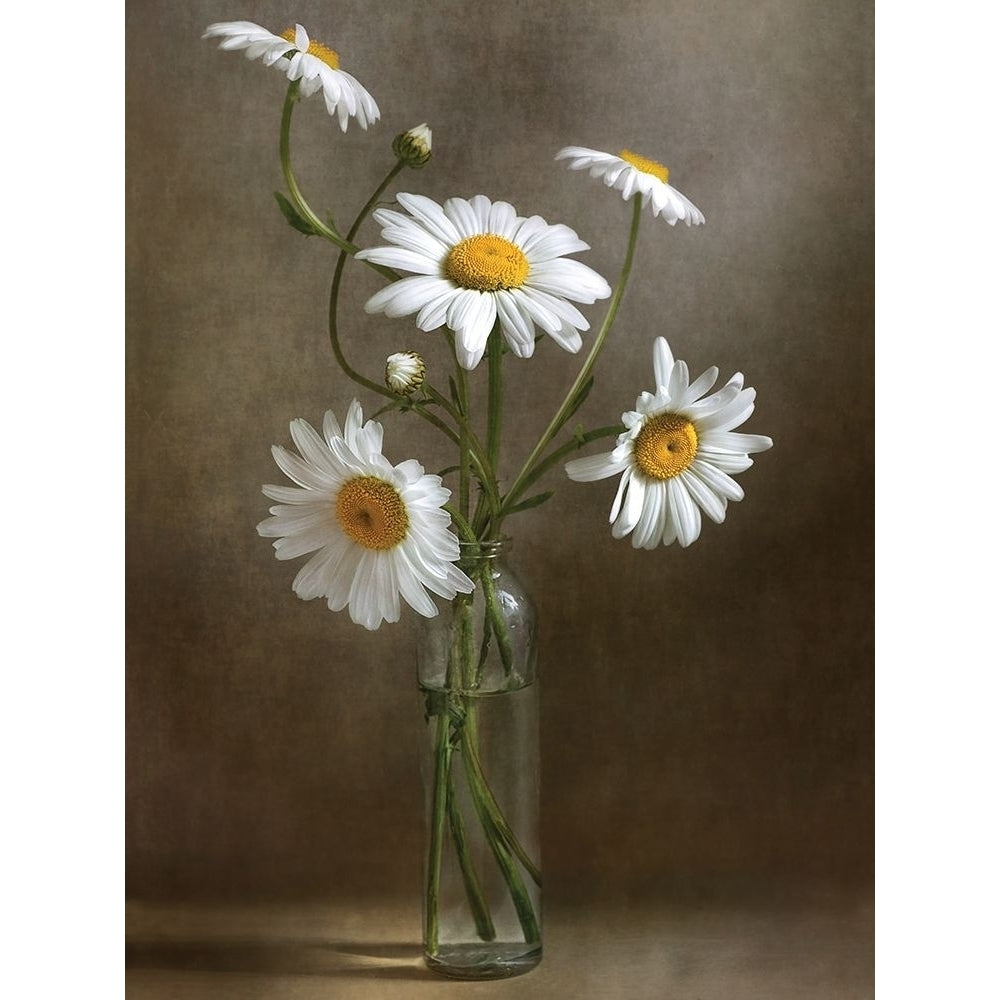 Still Life I Poster Print by Mandy Disher-VARPDX19490 Image 1