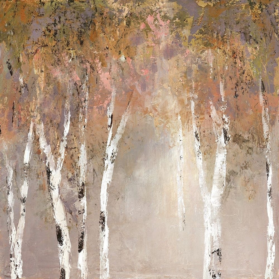 Sunlit Birch II Poster Print by Carol Robinson-VARPDX19507 Image 1