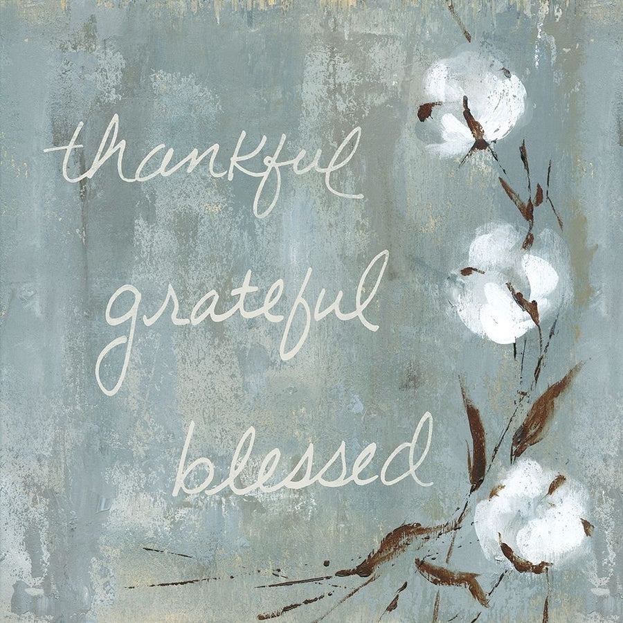 Cotton Thankful Poster Print by Carol Robinson-VARPDX19539 Image 1