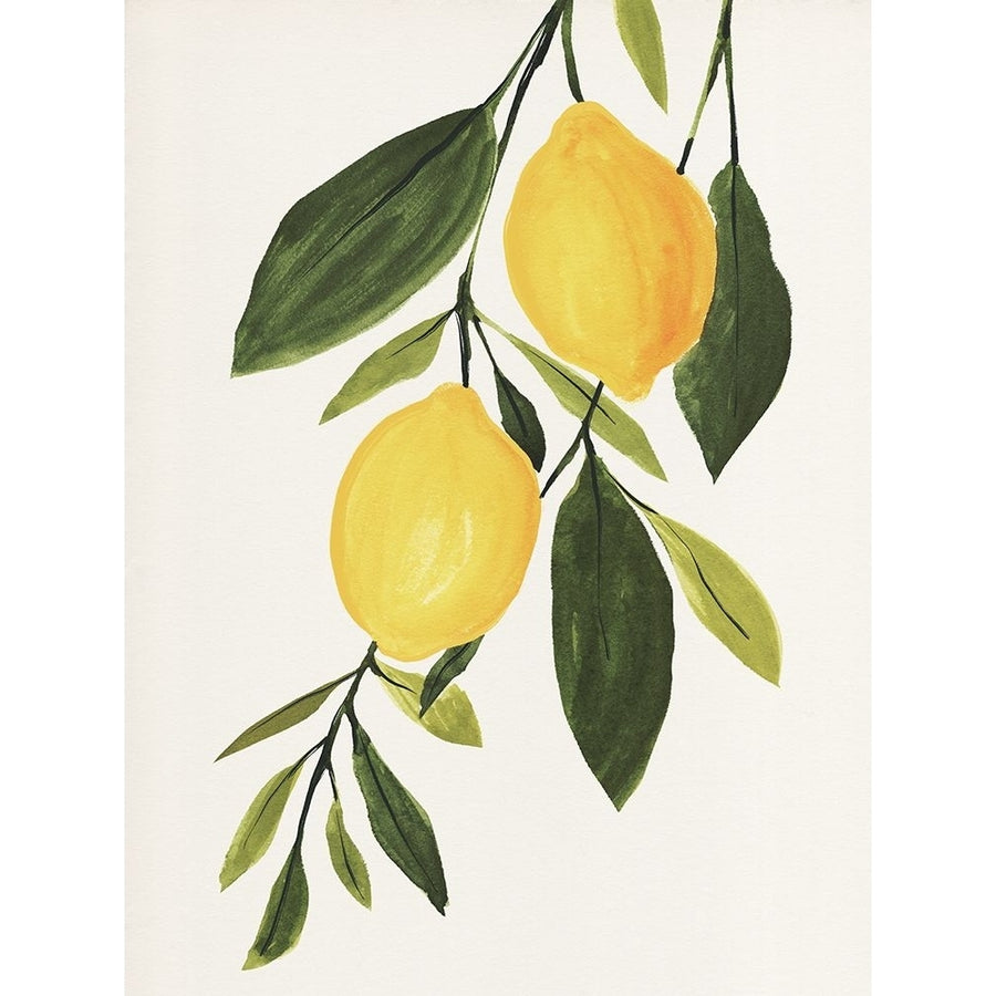 Lemon Branch I Poster Print - Annie Warren-VARPDX195463Z Image 1