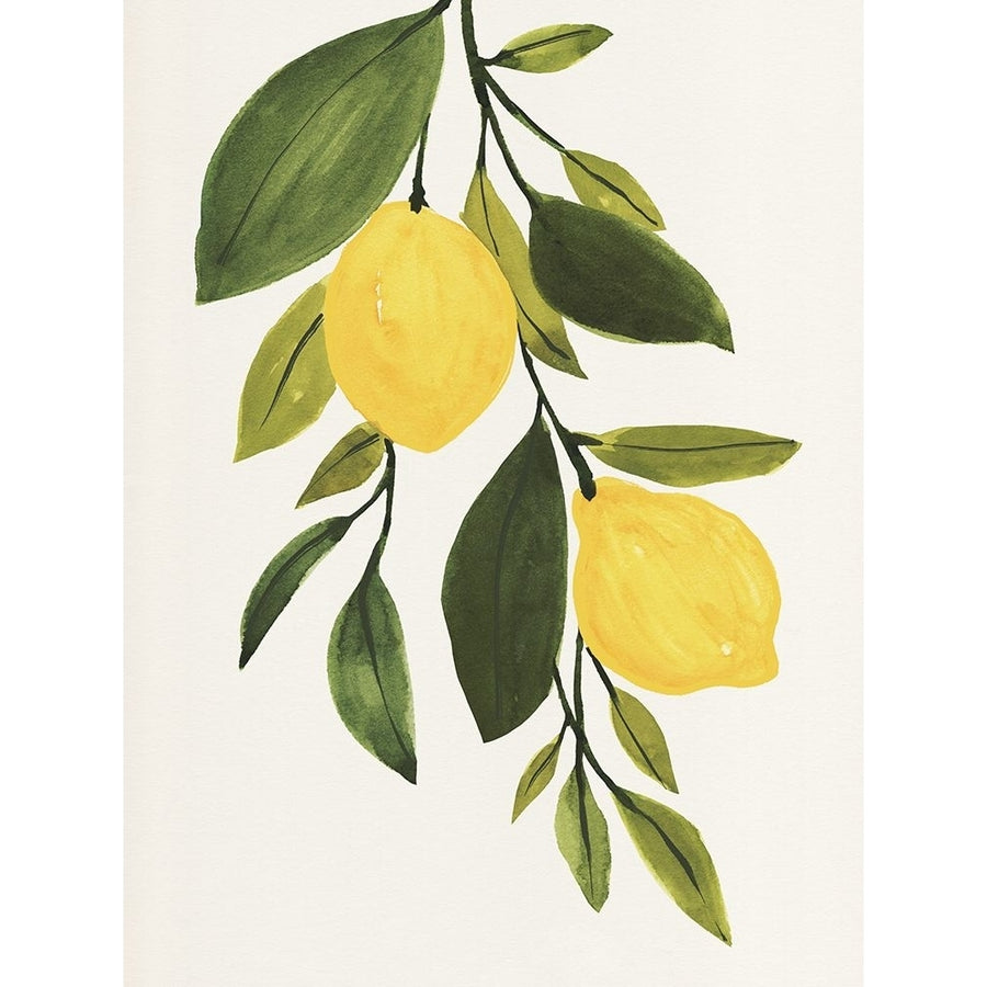 Lemon Branch II Poster Print - Annie Warren-VARPDX195464Z Image 1