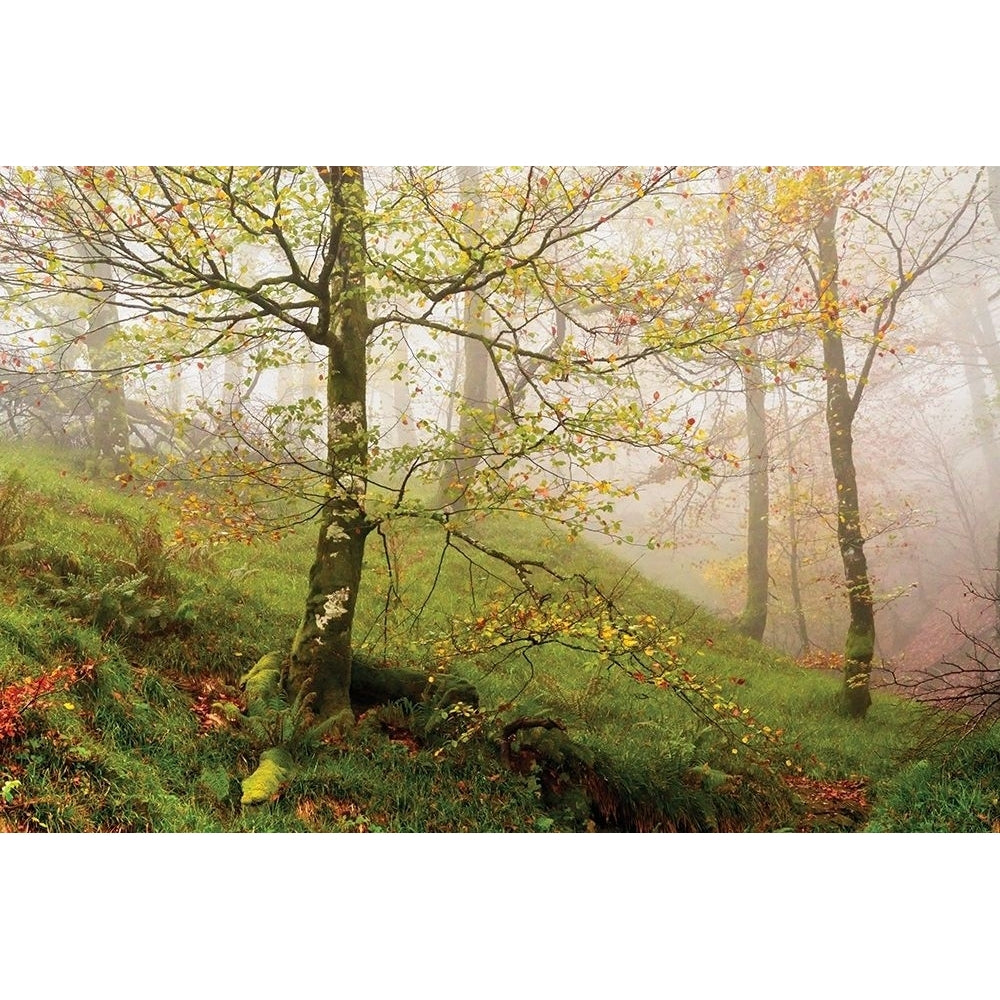 Spring Or Poster Print by Lars Van de Goor-VARPDX19572 Image 1