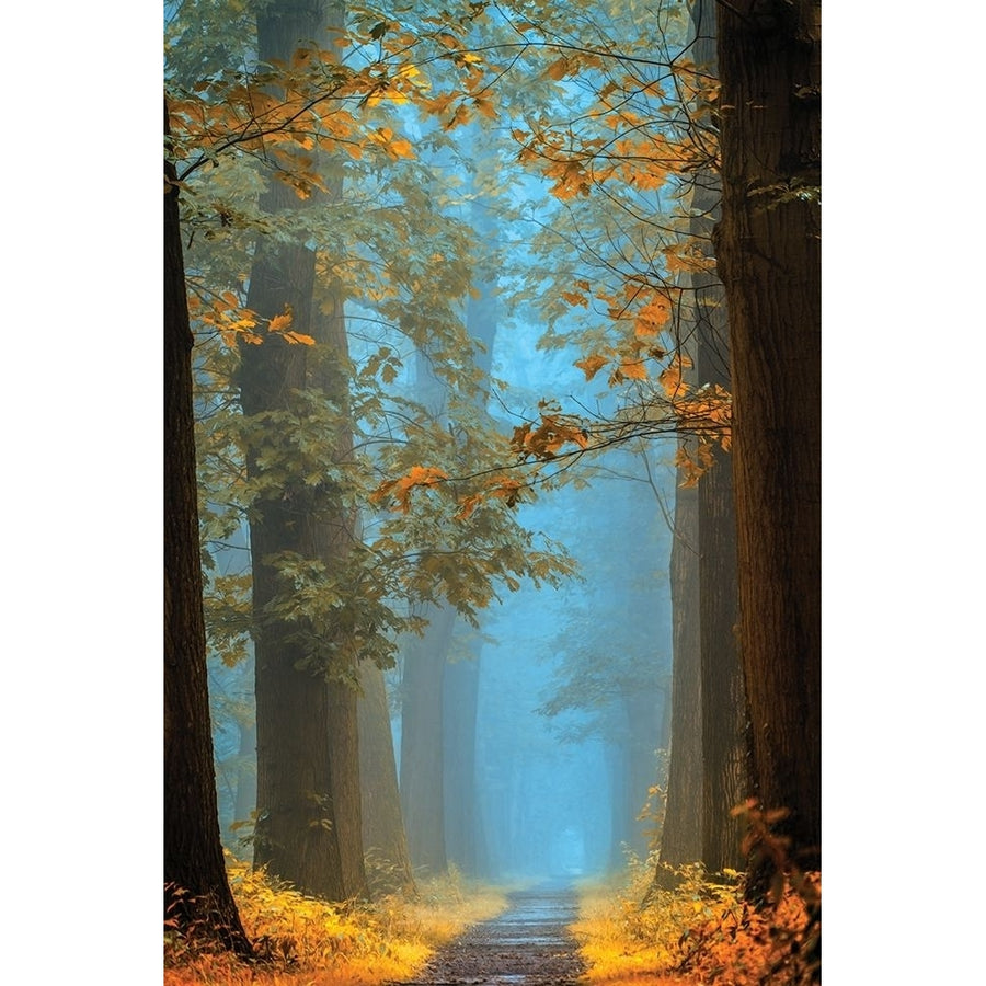 Orange Blue Poster Print by Lars Van de Goor-VARPDX19574 Image 1