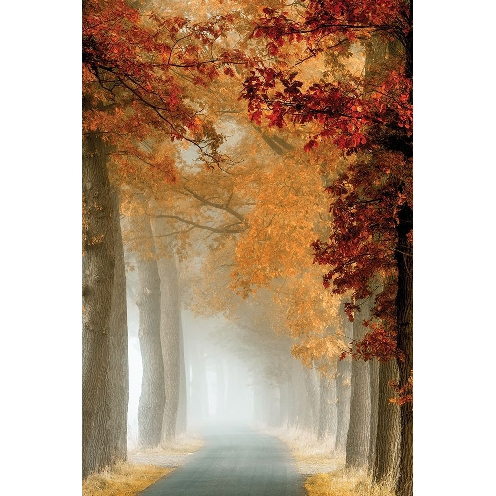 Wonder Curve Poster Print by Lars Van de Goor-VARPDX19575 Image 1