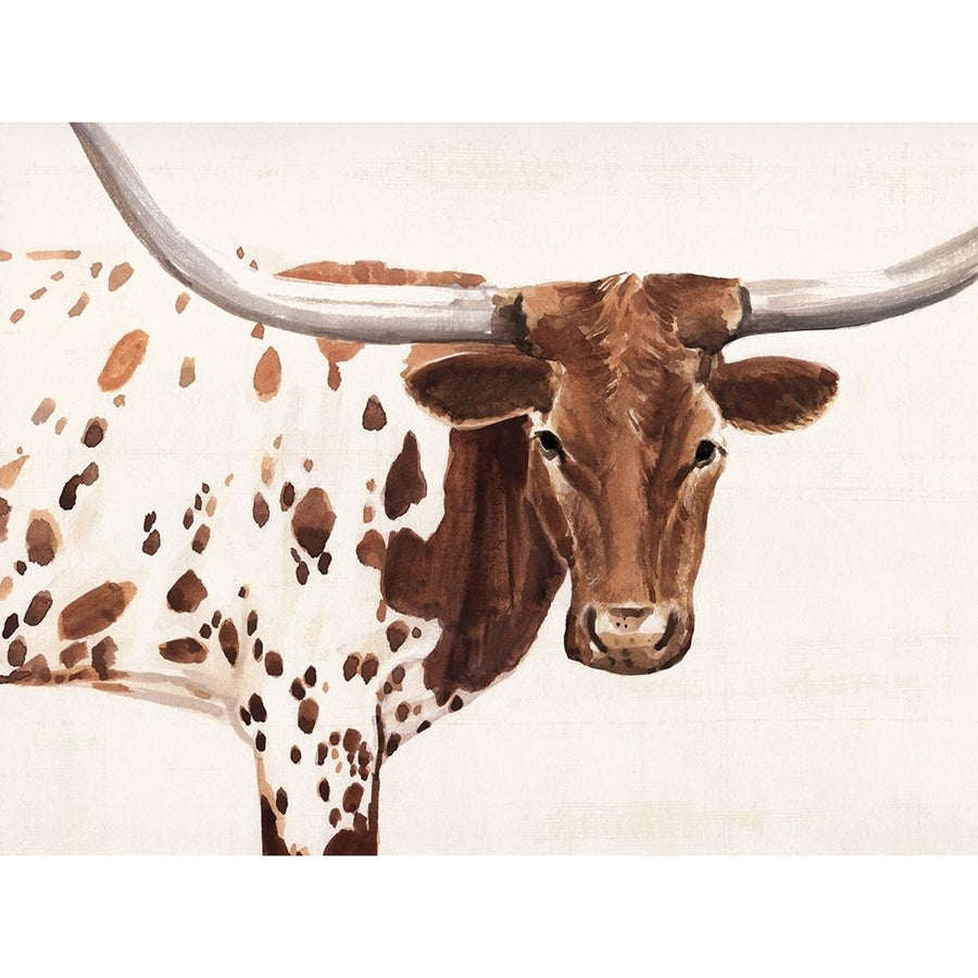 Spotted Steer I Poster Print - Annie Warren-VARPDX195961Z Image 1