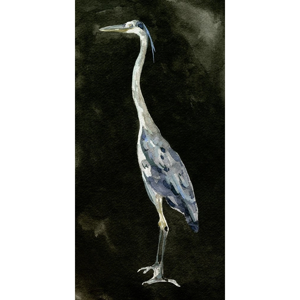 Ebony Egret I Poster Print - Emma Caroline-VARPDX195953Z Image 1