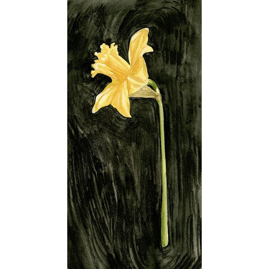 Dark Daffodils I Poster Print - Emma Caroline-VARPDX195986Z Image 1