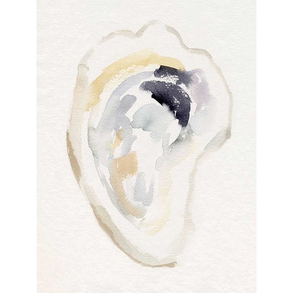 Oyster Shell Watercolor I Poster Print - Victoria Barnes-VARPDX196021Z Image 1