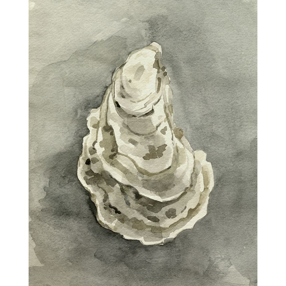 Neutral Oyster Shell IV Poster Print - Emma Caroline-VARPDX196115FN Image 1