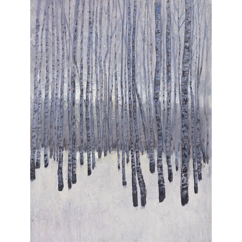 Bare Trees in Winter I Poster Print - Tim OToole-VARPDX196321FN Image 1