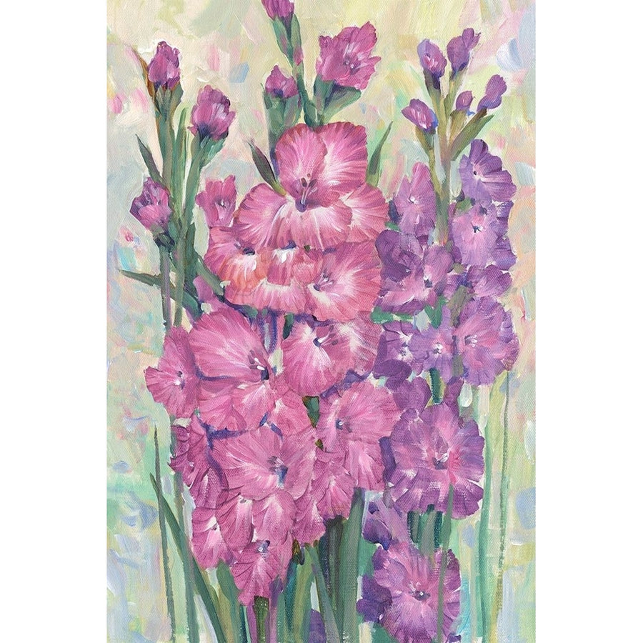 Gladiolas Blooming I Poster Print - Tim OToole-VARPDX196811FN Image 1