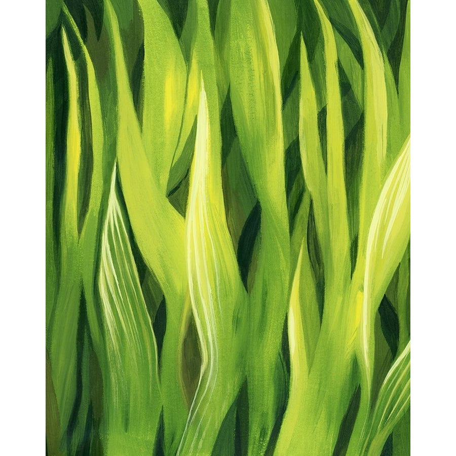 Blades of Grass I Poster Print - Grace Popp-VARPDX197583Z Image 1