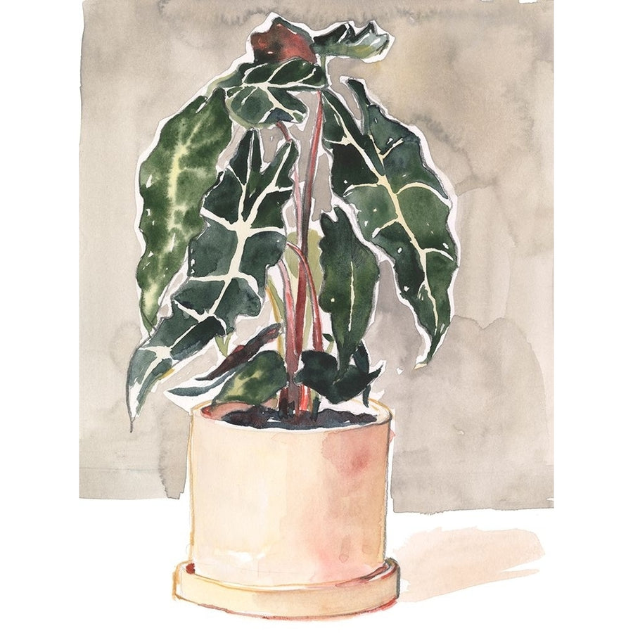 Potted Houseplant I Poster Print - Jennifer Paxton Parker-VARPDX197573Z Image 1