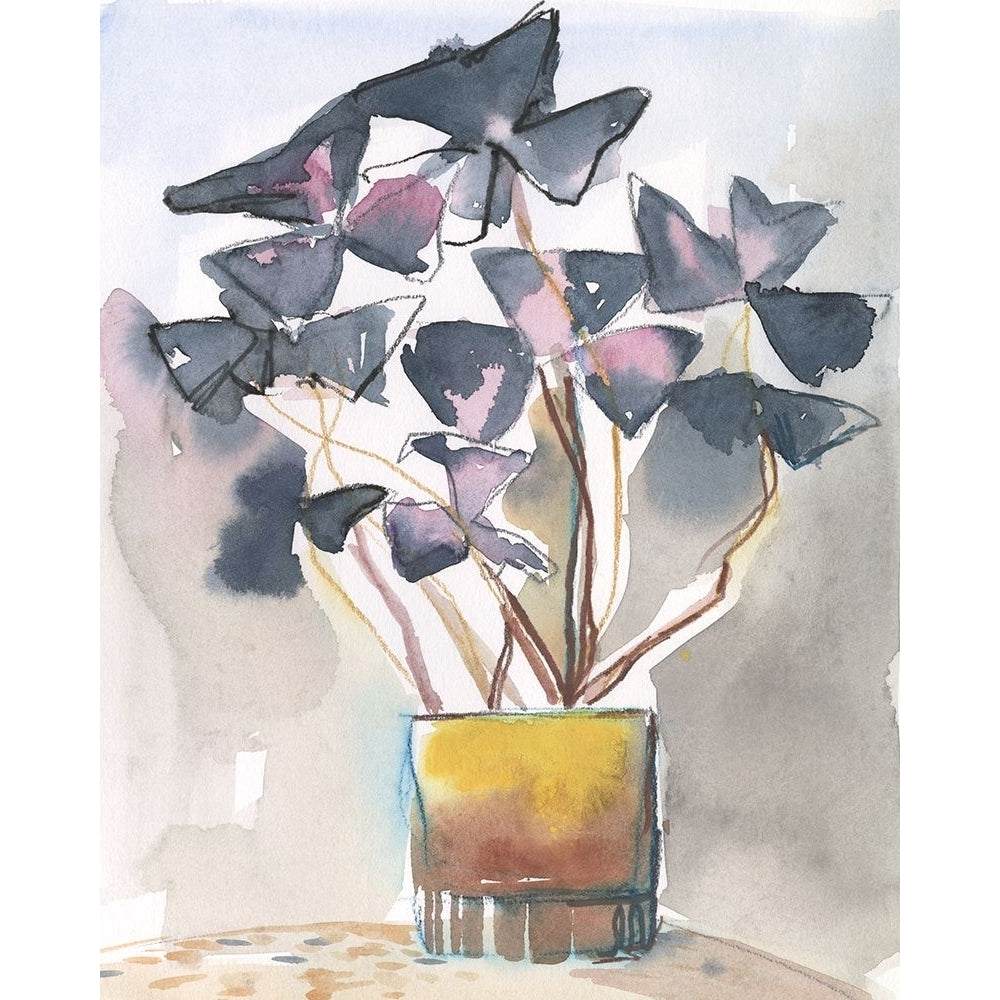 Oxalis in Vase II Poster Print - Jennifer Paxton Parker-VARPDX197576Z Image 1