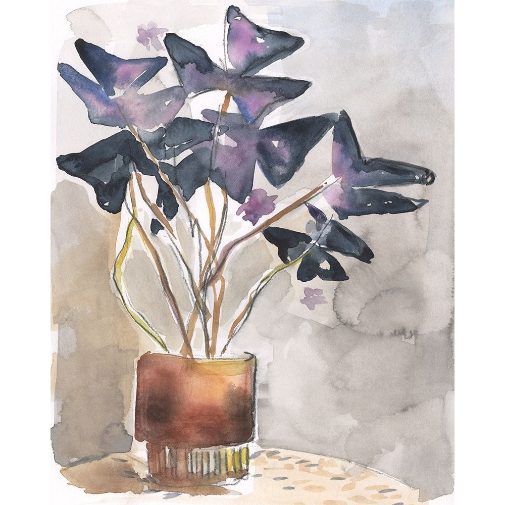 Oxalis in Vase I Poster Print - Jennifer Paxton Parker-VARPDX197575Z Image 1